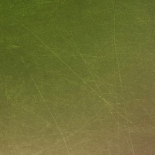 Pola teh hijau iPhone5s / iPhone5c / iPhone5 Wallpaper
