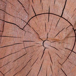 Kabekicha iPhone5s / iPhone5c / iPhone5 Wallpaper