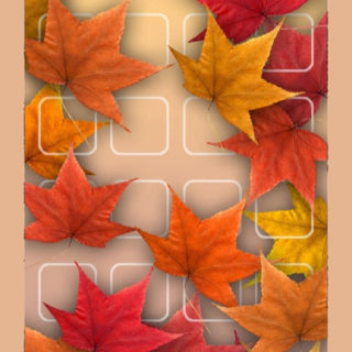 rak gugur merah daun teh bunga iPhone5s / iPhone5c / iPhone5 Wallpaper