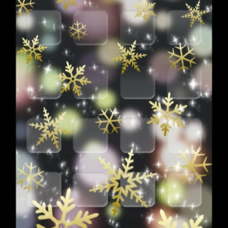 ﾠrak salju hitam untuk Wanita iPhone5s / iPhone5c / iPhone5 Wallpaper