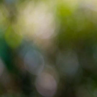 Blur hijau iPhone5s / iPhone5c / iPhone5 Wallpaper