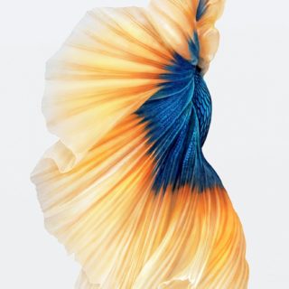 iOS9 putih Ikan Keren iPhone5s / iPhone5c / iPhone5 Wallpaper