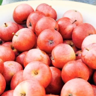 Makanan apel merah iPhone5s / iPhone5c / iPhone5 Wallpaper