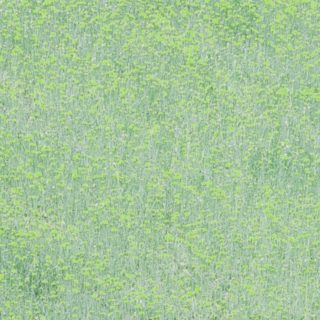 Landscape taman bunga hijau iPhone5s / iPhone5c / iPhone5 Wallpaper
