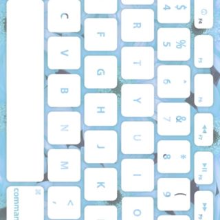 Keyboard bunga putih pucat iPhone5s / iPhone5c / iPhone5 Wallpaper