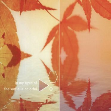 Permukaan air daun musim gugur iPhone6s / iPhone6 Wallpaper