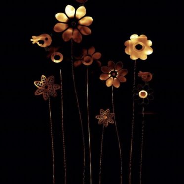 Bunga Keren iPhone6s / iPhone6 Wallpaper