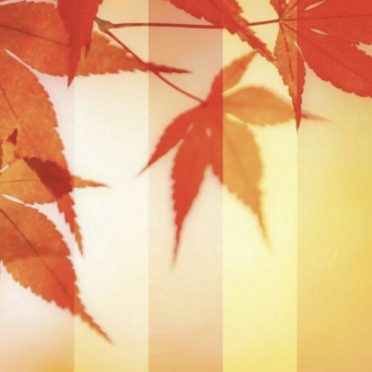 Daun musim gugur gugur iPhone6s / iPhone6 Wallpaper