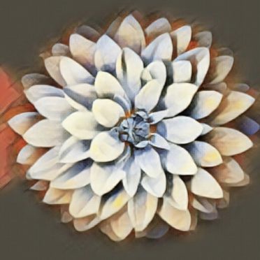 Bunga putih iPhone6s / iPhone6 Wallpaper