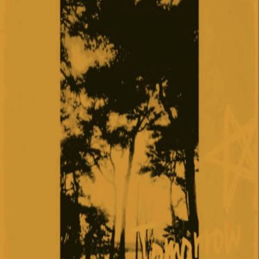 Pohon pantai iPhone6s / iPhone6 Wallpaper