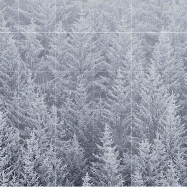 lanskap hutan perbatasan Seppaku rak iPhone6s / iPhone6 Wallpaper