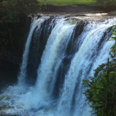 pemandangan waterfall park iPhone6s / iPhone6 Wallpaper