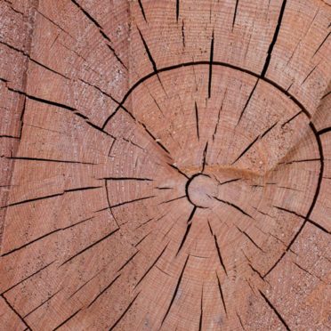 Kabekicha iPhone6s / iPhone6 Wallpaper