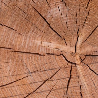 Kabekicha iPhone6s / iPhone6 Wallpaper