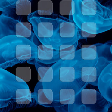 Ubur-ubur rak biru hitam iPhone6s / iPhone6 Wallpaper