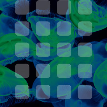 Ubur-ubur biru rak hitam hijau iPhone6s / iPhone6 Wallpaper