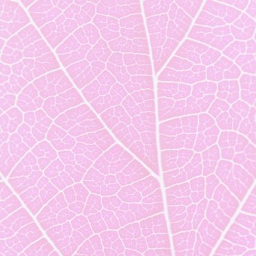 pola vena Berwarna merah muda iPhone6s / iPhone6 Wallpaper