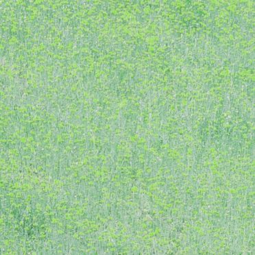 Landscape taman bunga hijau iPhone6s / iPhone6 Wallpaper