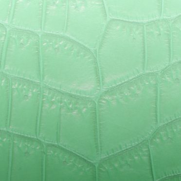 Daun vena gradasi hijau iPhone6s / iPhone6 Wallpaper
