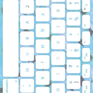 Keyboard bunga putih pucat iPhone6s / iPhone6 Wallpaper