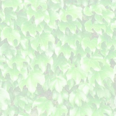 pola daun Kuning hijau iPhone6s / iPhone6 Wallpaper