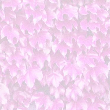 pola daun Berwarna merah muda iPhone6s / iPhone6 Wallpaper