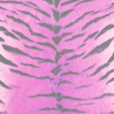 pola harimau bulu Merah-ungu iPhone6s / iPhone6 Wallpaper