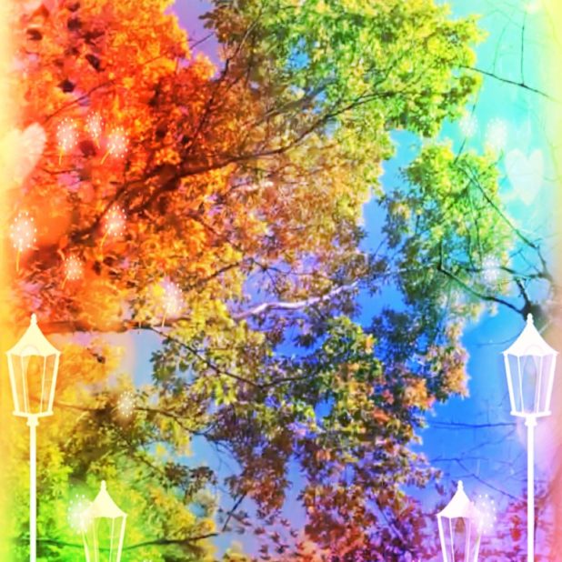 Pohon jalanan berwarna iPhone6s Plus / iPhone6 Plus Wallpaper