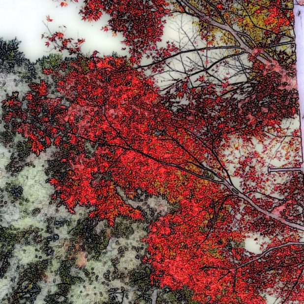 Musim gugur daun lansekap iPhone6s Plus / iPhone6 Plus Wallpaper