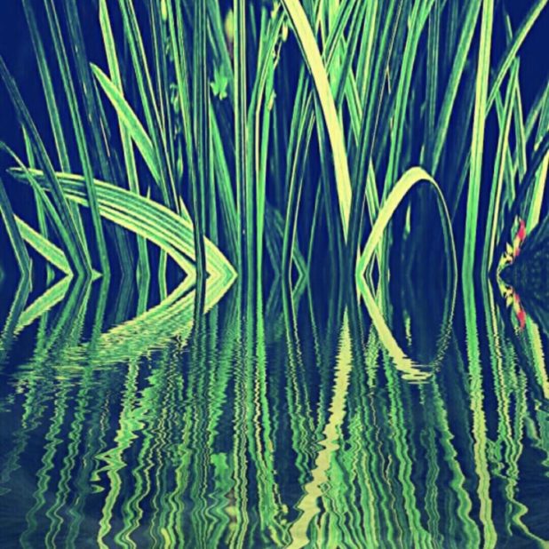 Reed hijau iPhone6s Plus / iPhone6 Plus Wallpaper