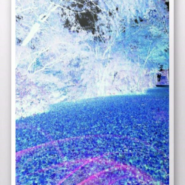 Hutan biru iPhone6s Plus / iPhone6 Plus Wallpaper