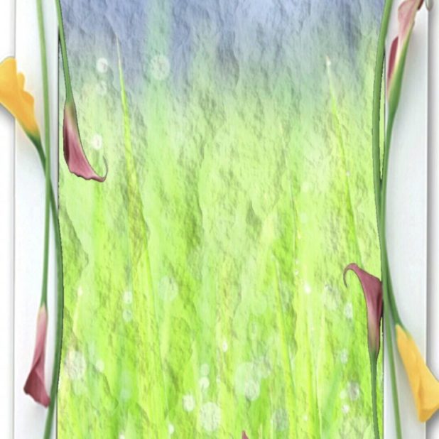 Bingkai foto bunga iPhone6s Plus / iPhone6 Plus Wallpaper