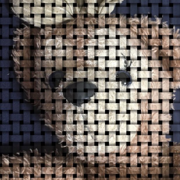 Beruang boneka mainan iPhone6s Plus / iPhone6 Plus Wallpaper