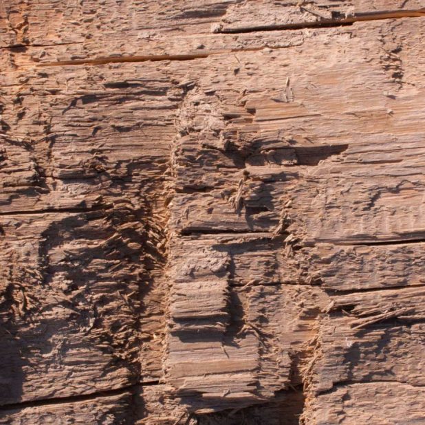 Kabekicha iPhone6s Plus / iPhone6 Plus Wallpaper