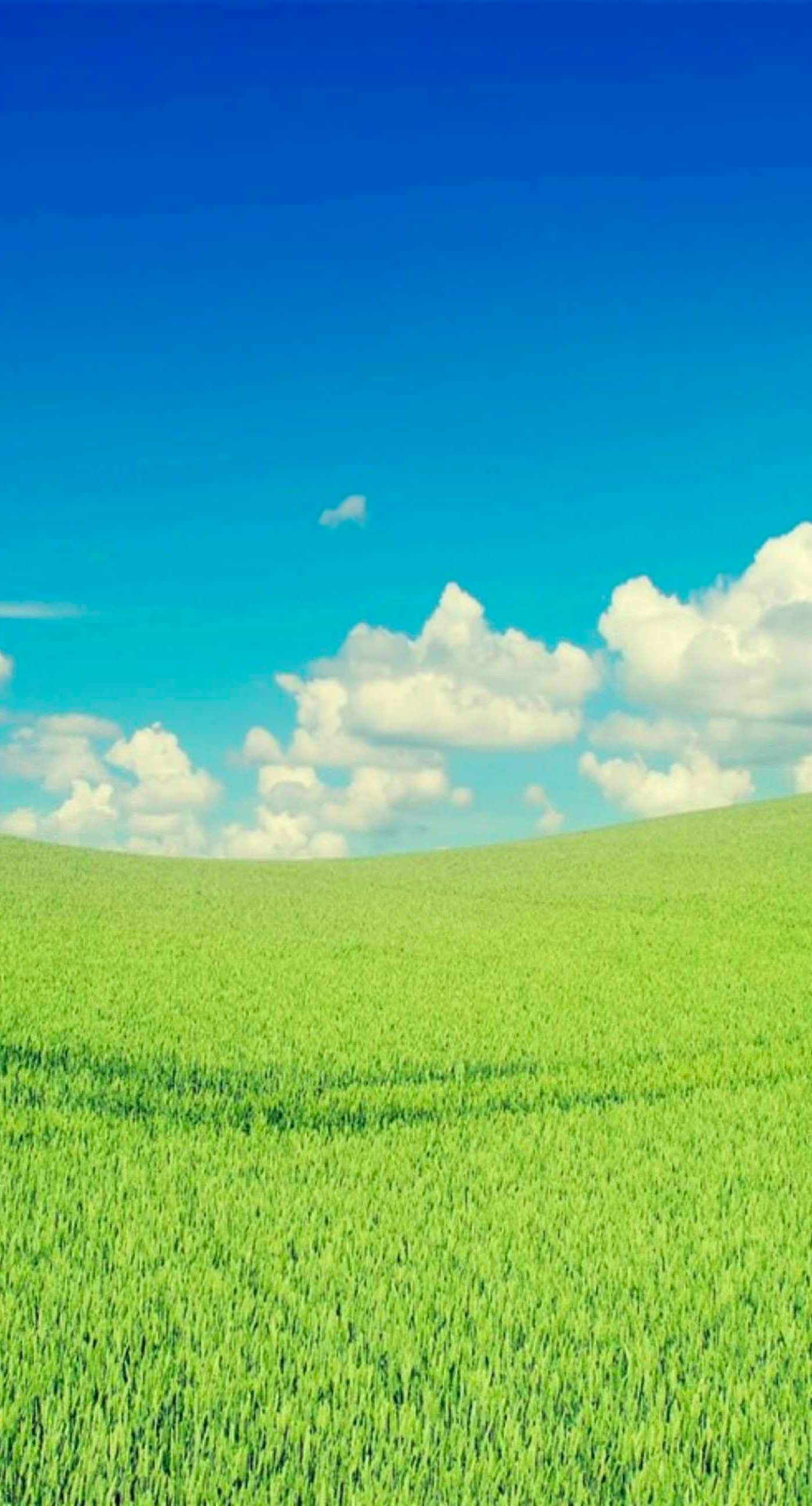 ﾠawan langit hijau | wallpaper.sc iPhone6sPlus