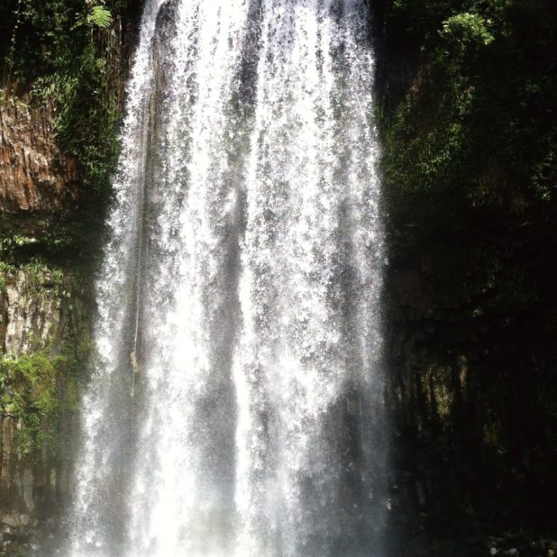 pemandangan waterfall nature hutan tree iPhone6s Plus / iPhone6 Plus Wallpaper