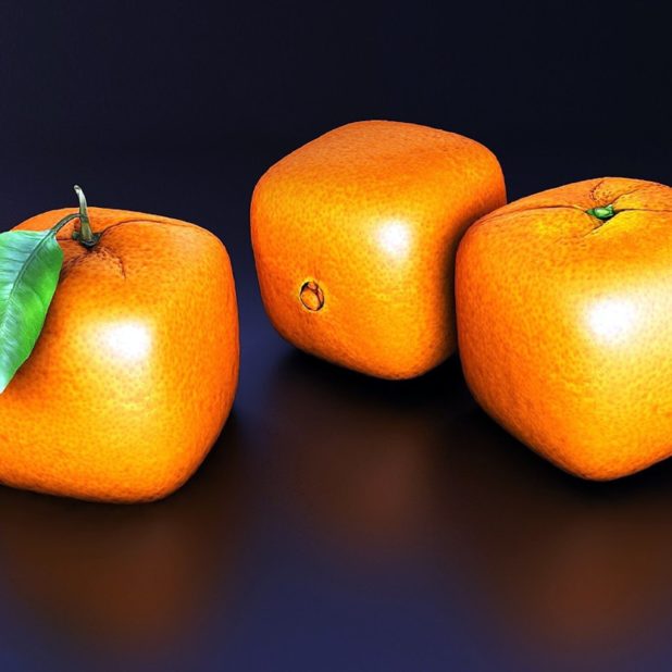 buah mandarin iPhone6s Plus / iPhone6 Plus Wallpaper
