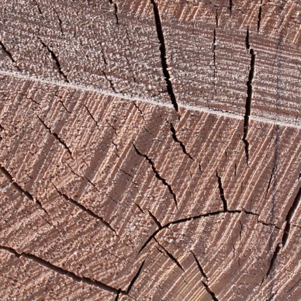 Kabekicha iPhone6s Plus / iPhone6 Plus Wallpaper