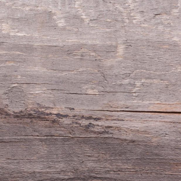 Kabekicha iPhone6s Plus / iPhone6 Plus Wallpaper