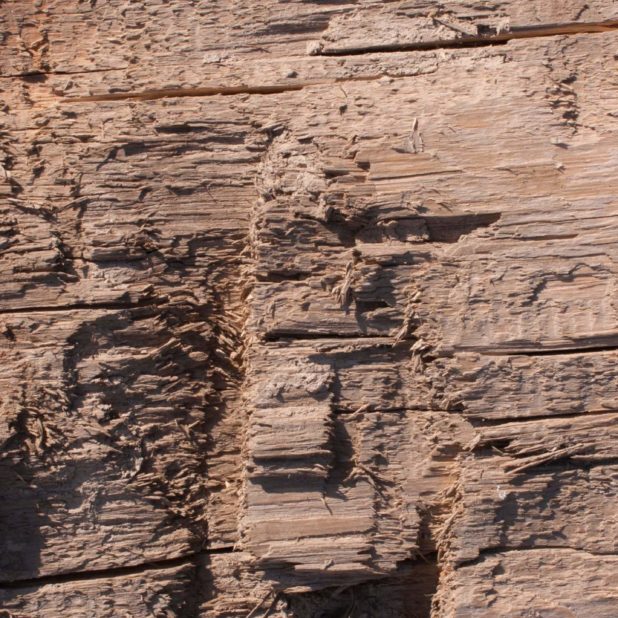 Kabekicha iPhone6s Plus / iPhone6 Plus Wallpaper