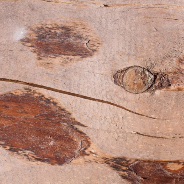 Kabekicha iPhone6s Plus / iPhone6 Plus Wallpaper