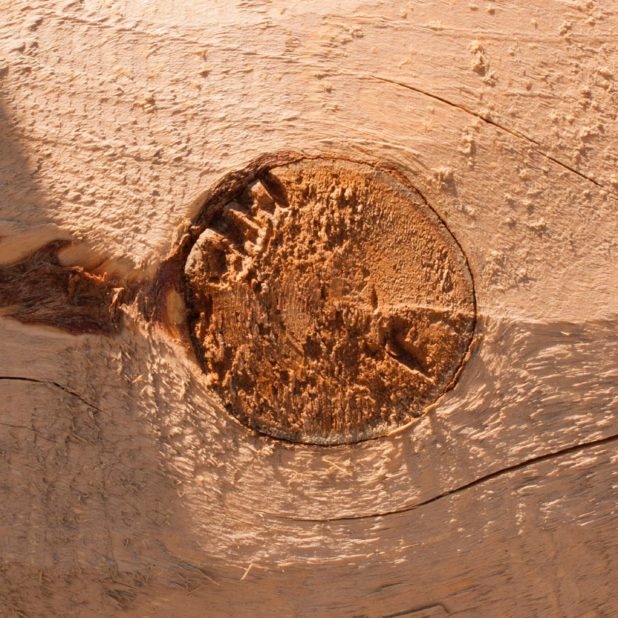 Kabekicha iPhone6s Plus / iPhone6 Plus Wallpaper