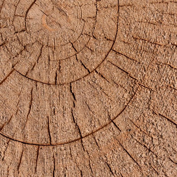 Kabekicha iPhone6s Plus / iPhone6 Plus Wallpaper