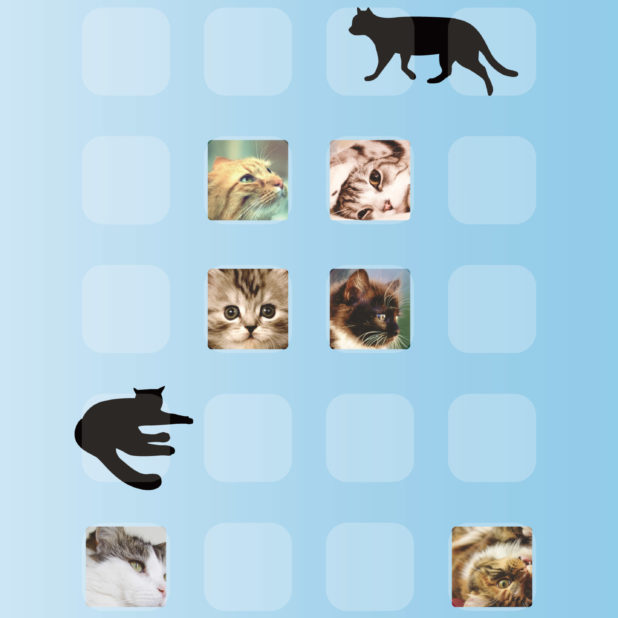 ﾠrak Kucing biru iPhone6s Plus / iPhone6 Plus Wallpaper