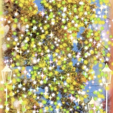 Bintang pohon jalanan iPhone7 Wallpaper