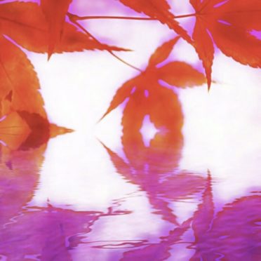 Permukaan air daun musim gugur iPhone7 Wallpaper