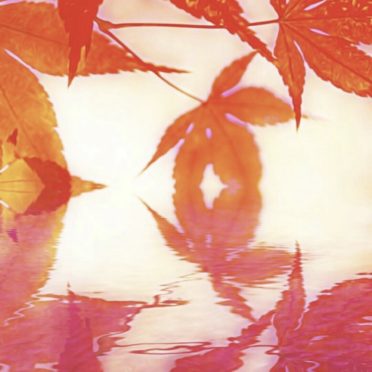 Permukaan air daun musim gugur iPhone7 Wallpaper