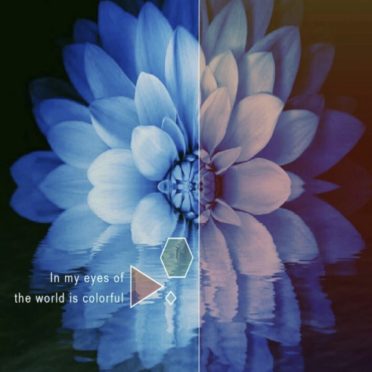 Bunga Biru iPhone7 Wallpaper