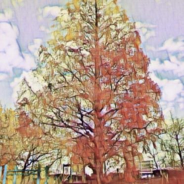 Taman pohon iPhone7 Wallpaper