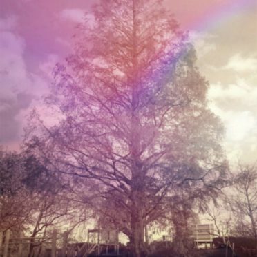 Taman pohon iPhone7 Wallpaper